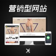 營(yíng)銷(xiāo)網(wǎng)站的建設：建設營(yíng)銷(xiāo)型網(wǎng)站具有哪些優(yōu)勢？ 