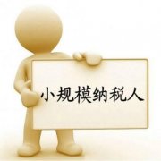 在成都，小規模納稅人注冊企業(yè)后，如何報稅登記？ 
