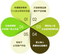 成都錦江區商標注冊分享申請中常見(jiàn)的問(wèn)題?需要提供什么資料? 